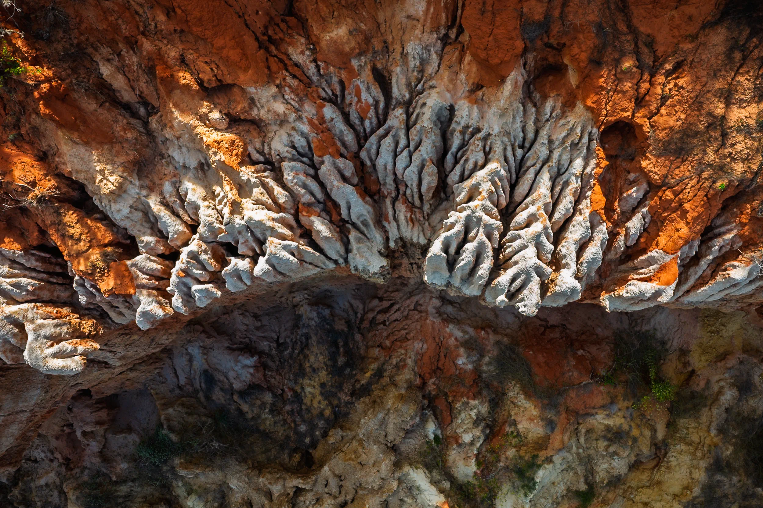 Sculpted Earth