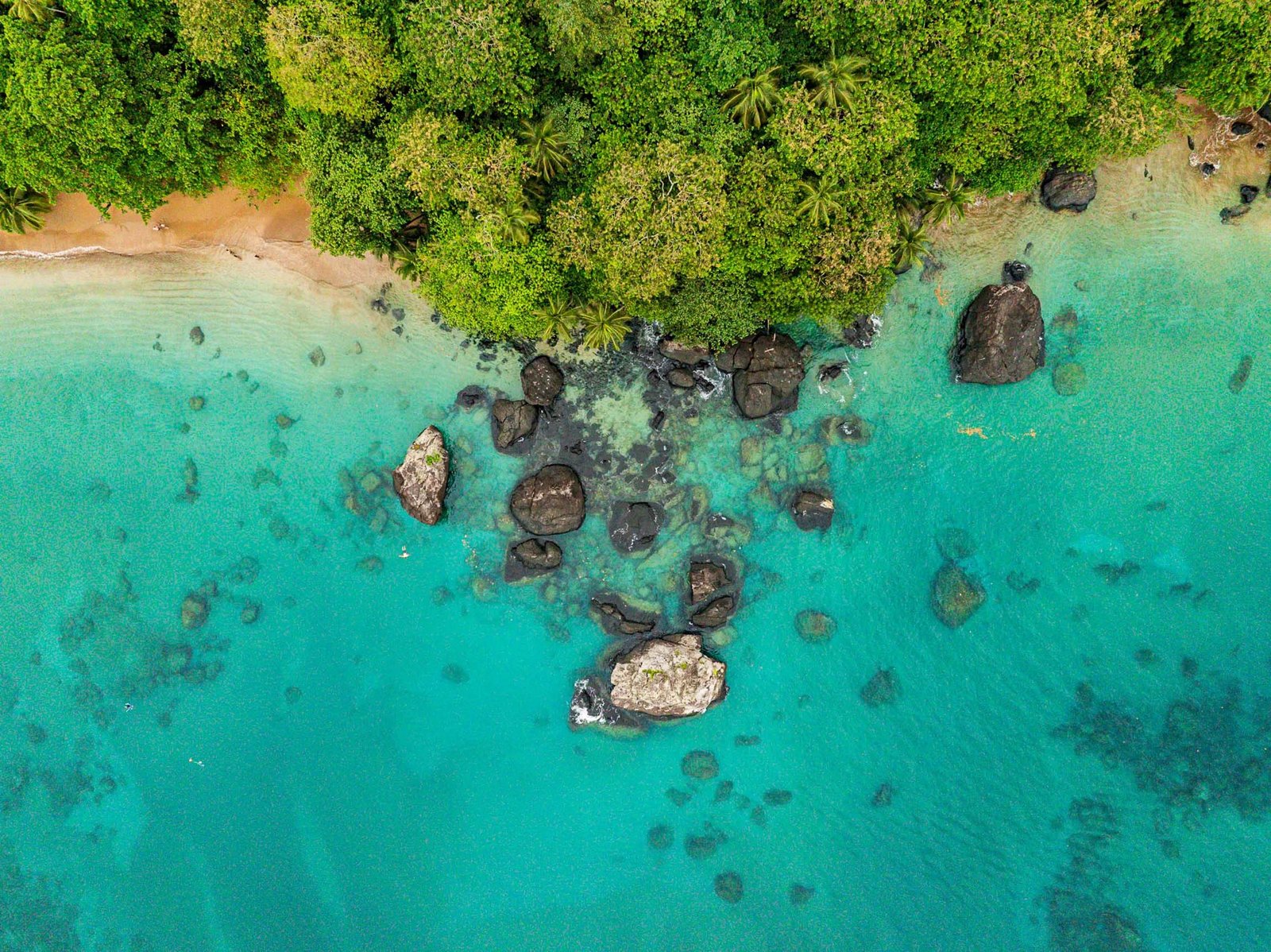 Where Jungle Meets Sea — Makako Beach