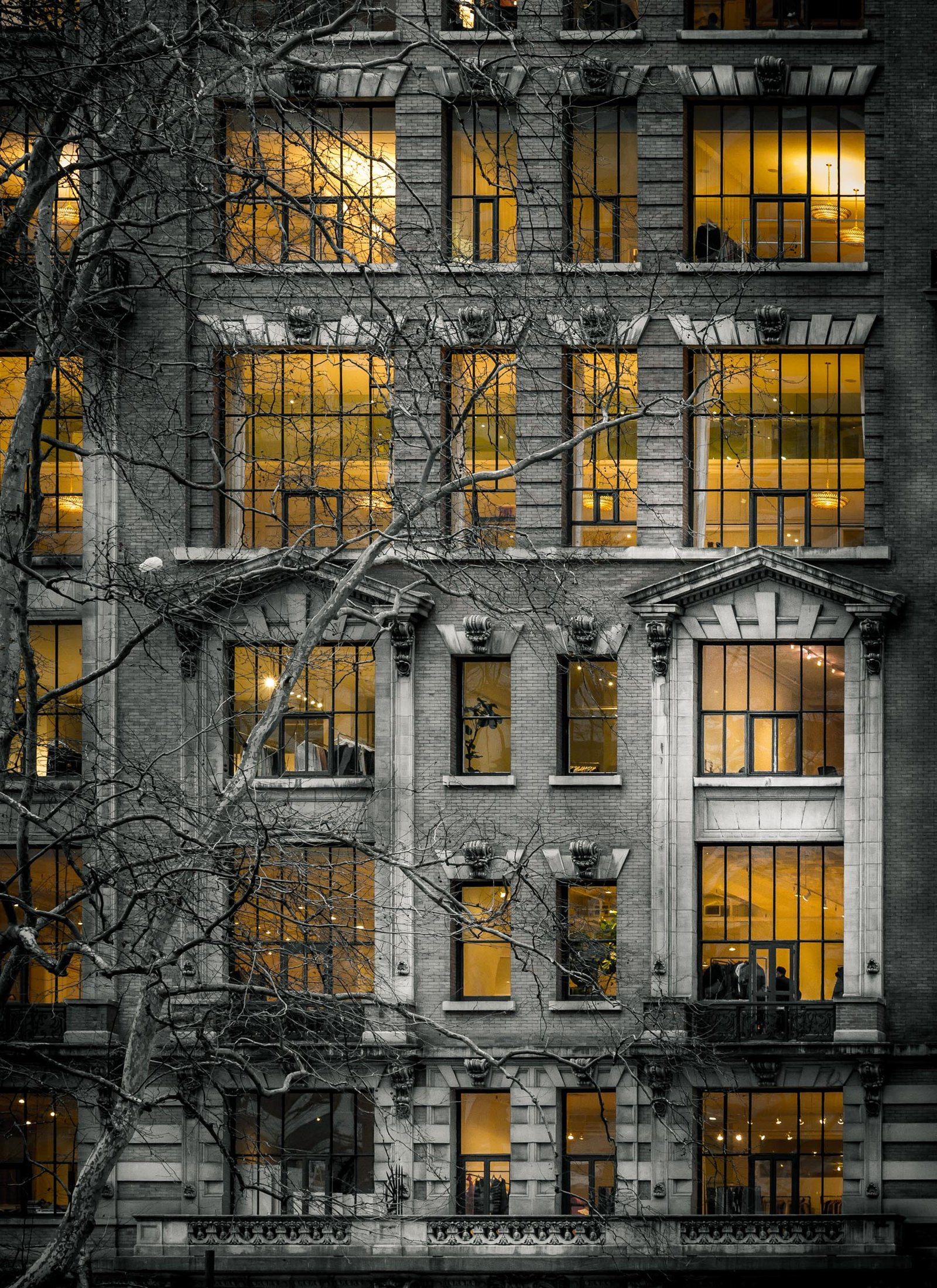 Windows of Light