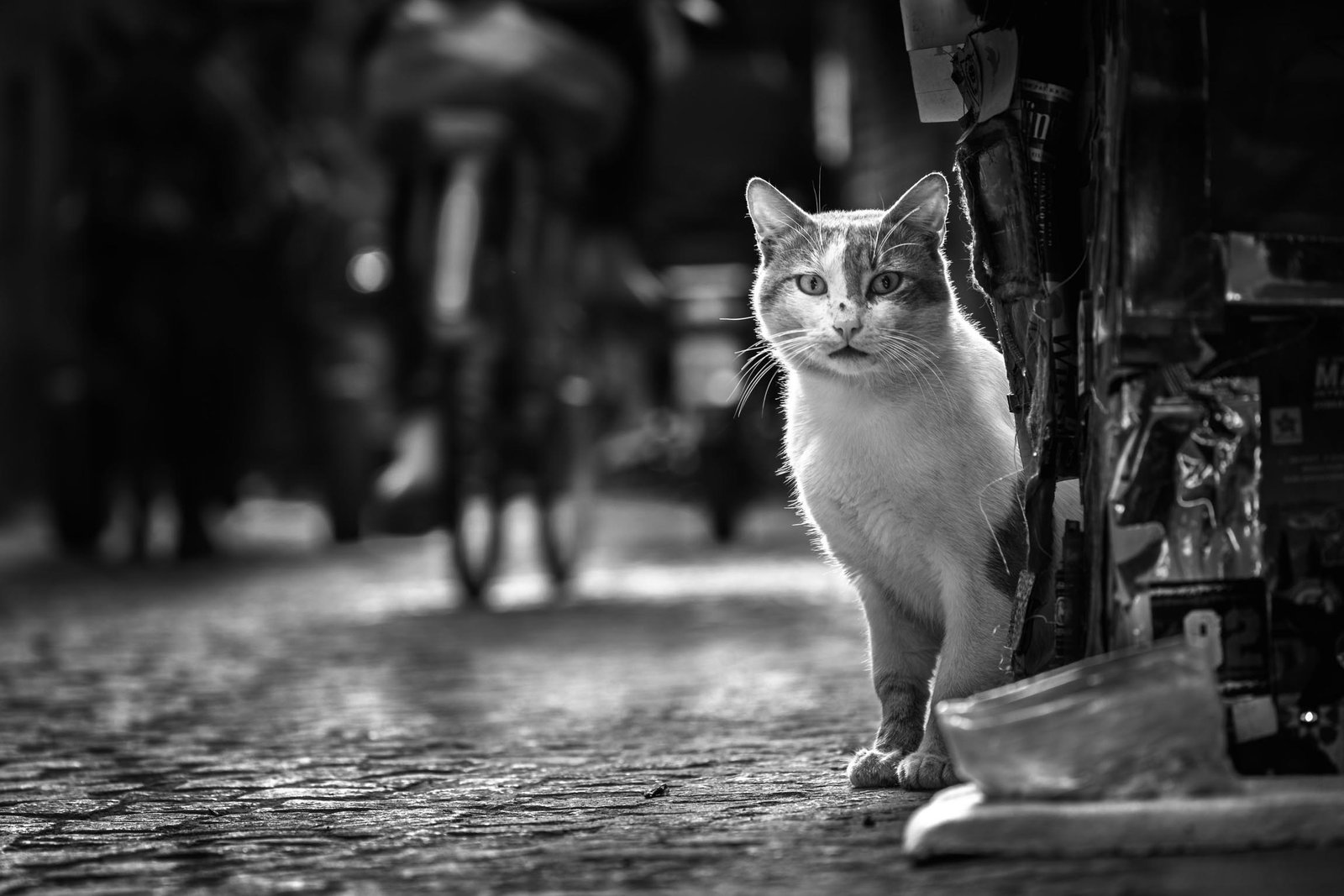 Night Watch, Cobbled Alley