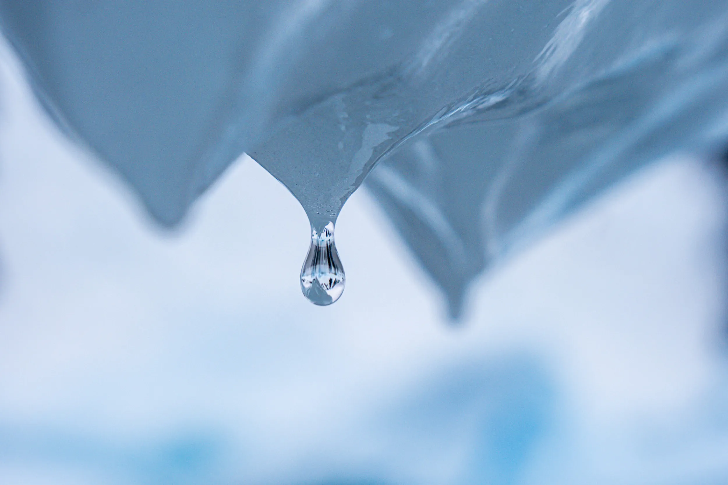 The Glacier's Last Tear