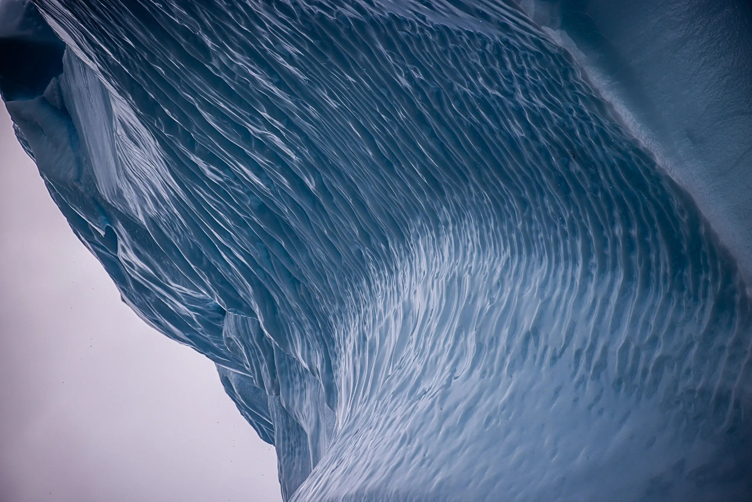 Waves Frozen Mid-Motion · Danco Island, Antarctica