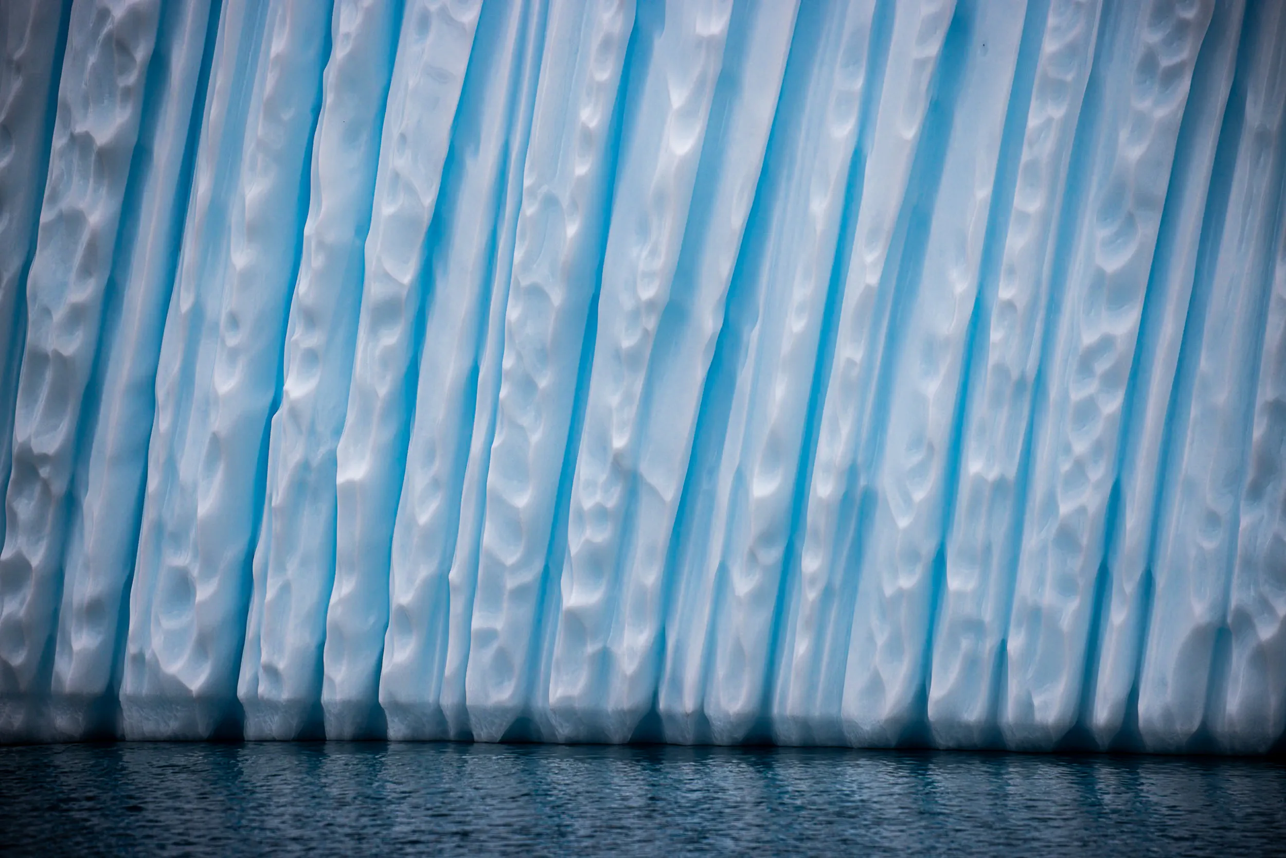 A Blue Tooth in the Snow · Danco Island, Antarctica