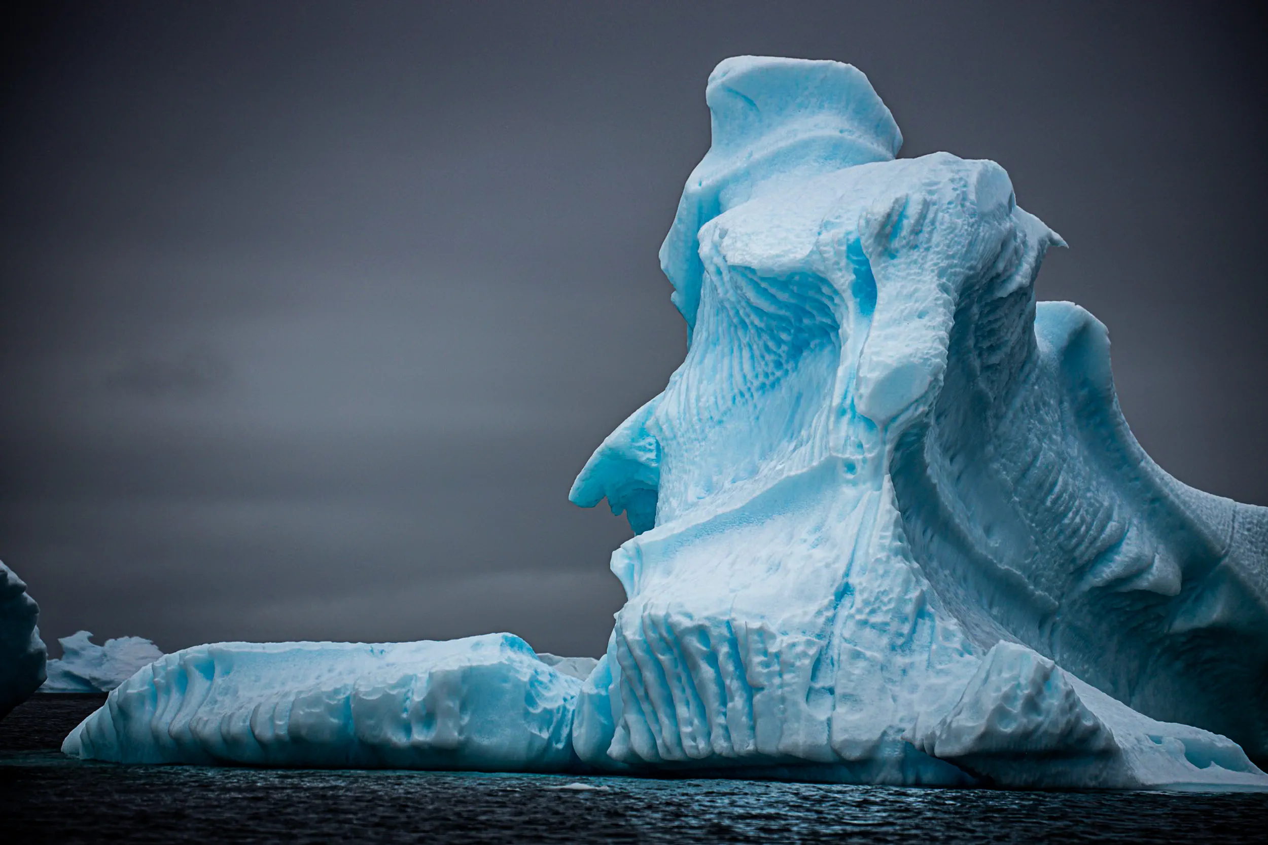Faces the Ice Remembers · Foyn Harbour, Antarctica
