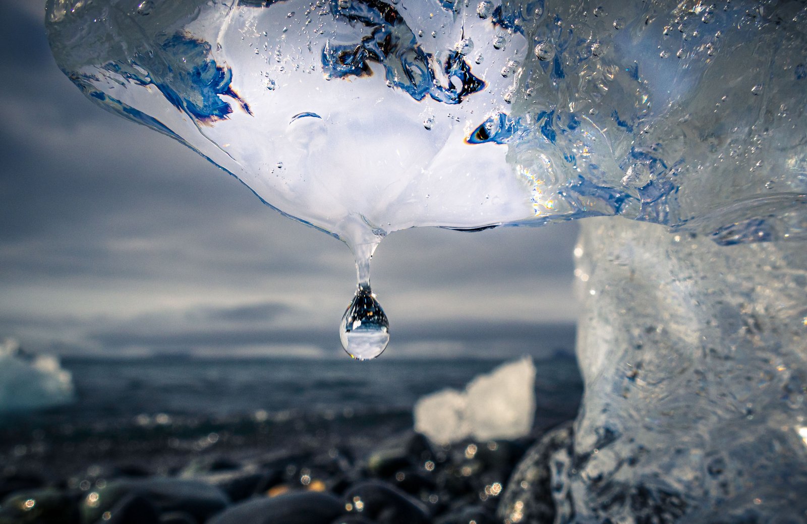 A Drop Holds Still · Half Moon Island, Antarctica
