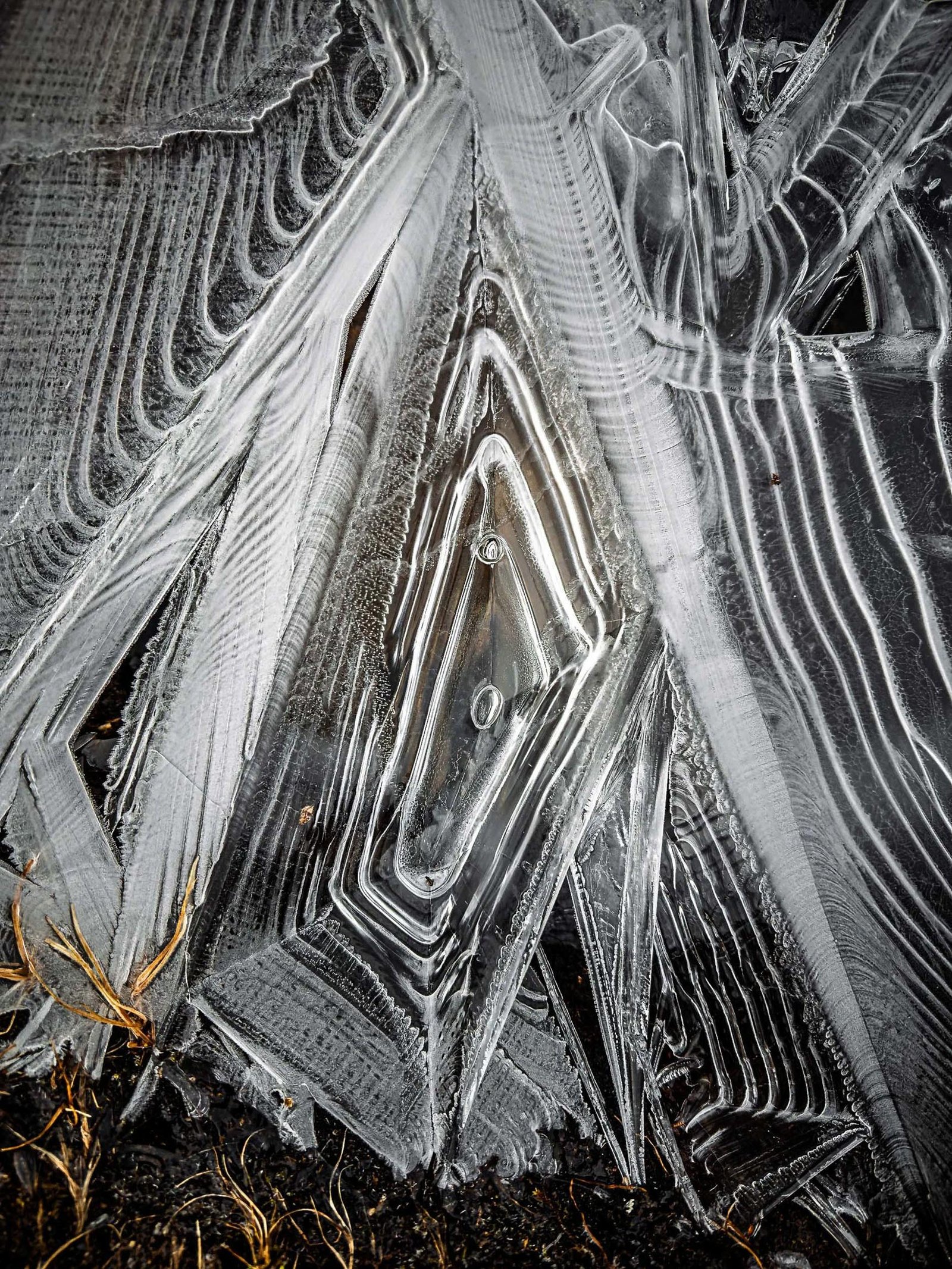 Frost Writes Its Own Language