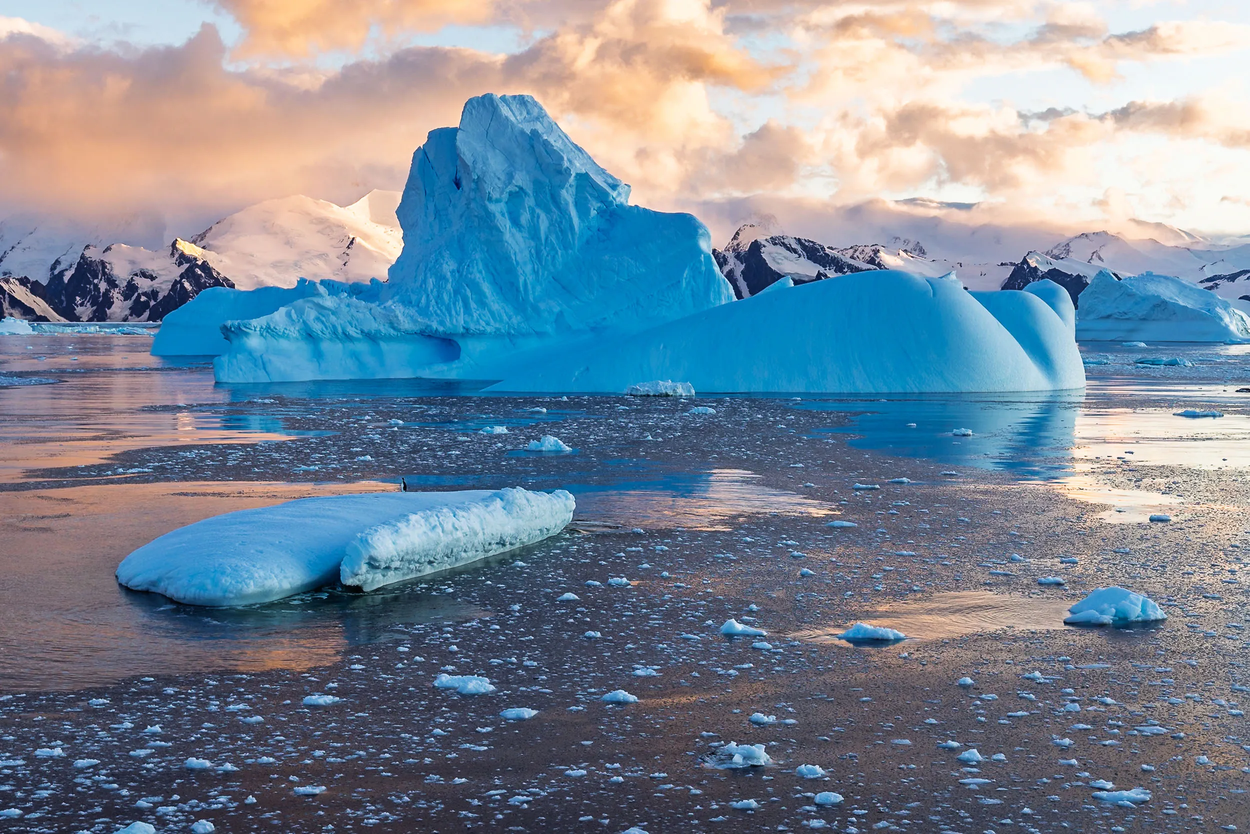 Ember Light on Ice · Lazareth Bay, Antarctica