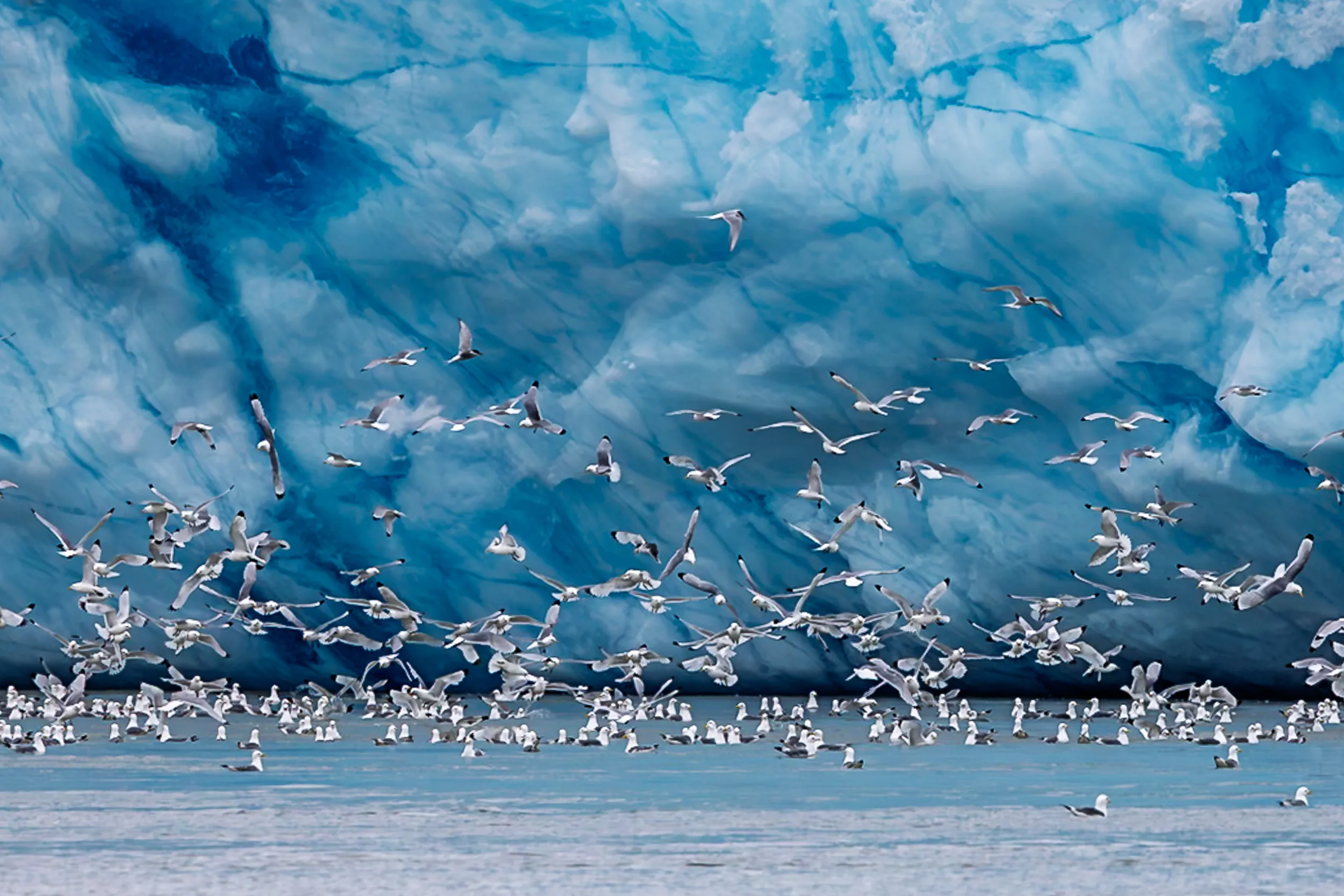 Giants Beneath the Glass · Monacobreen, Svalbard