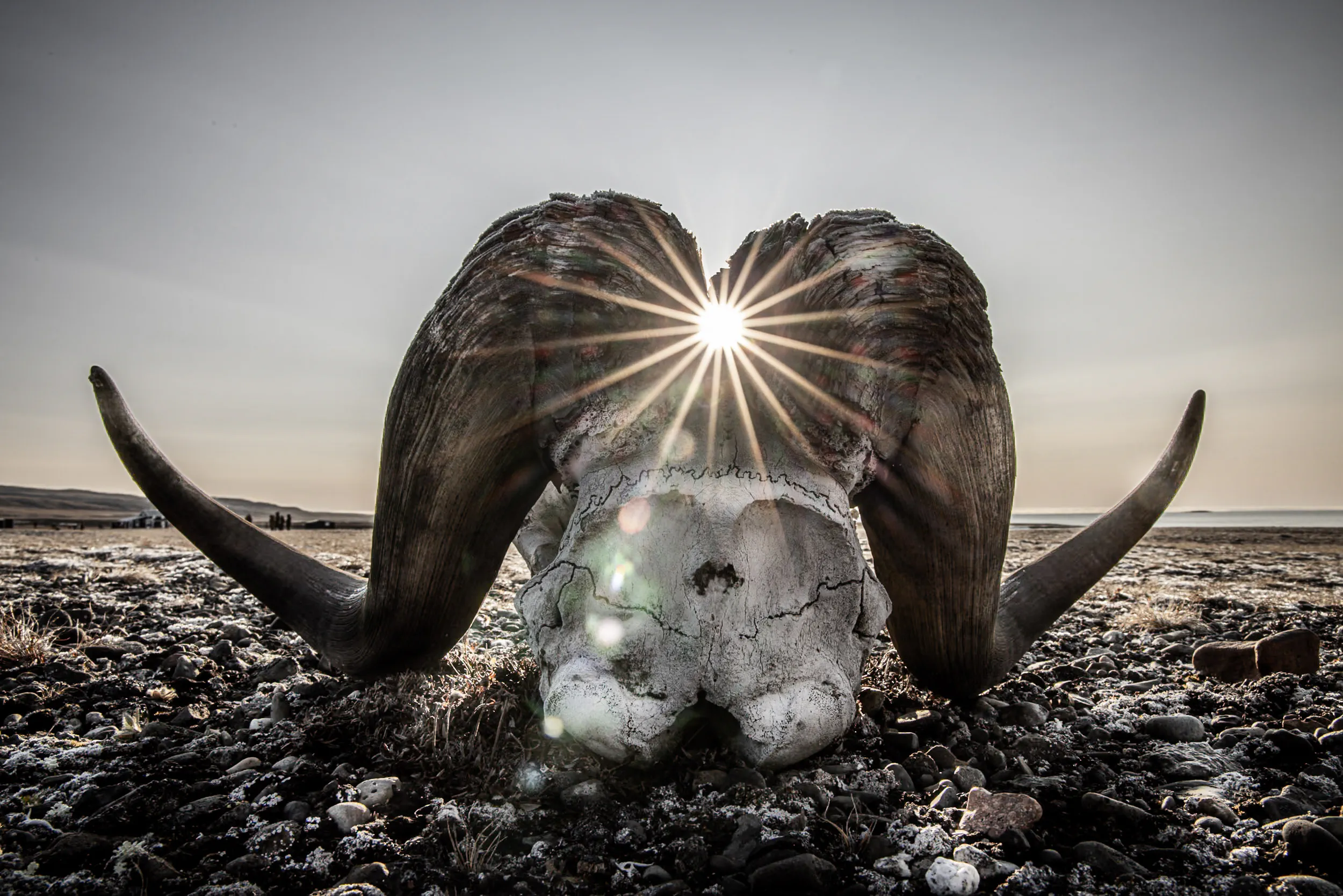 Sunburst Through Ancient Horns · Myggbukta, Greenland