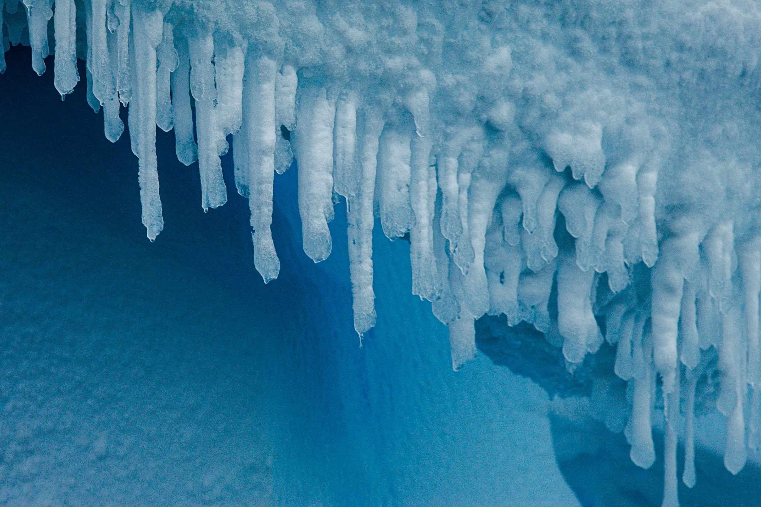Icicle Curtain · Orne Harbour, Antarctica