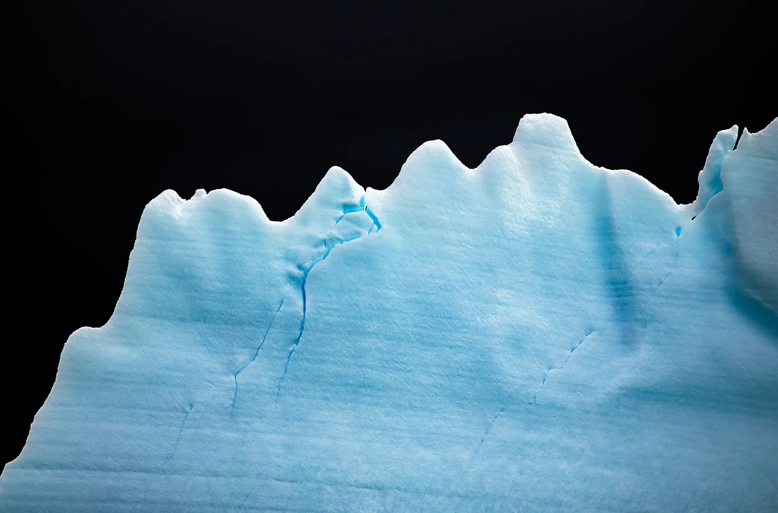 Teeth Against the Dark · Pleneau Island, Antarctica