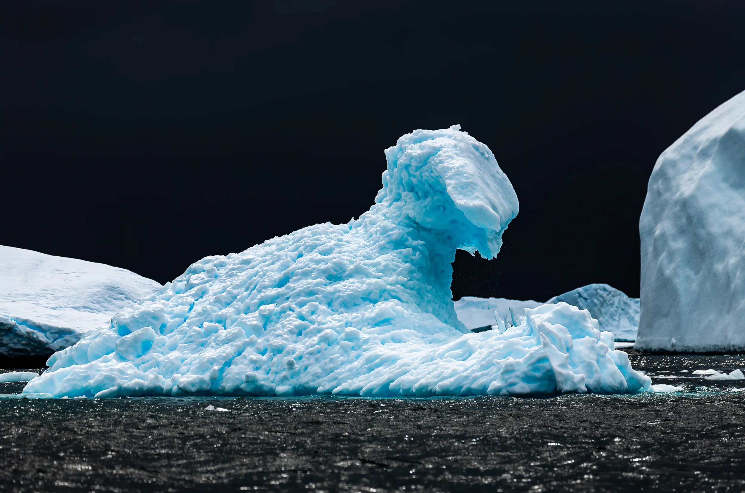 Skin of the Ancient Ice · Pleneau Island, Antarctica
