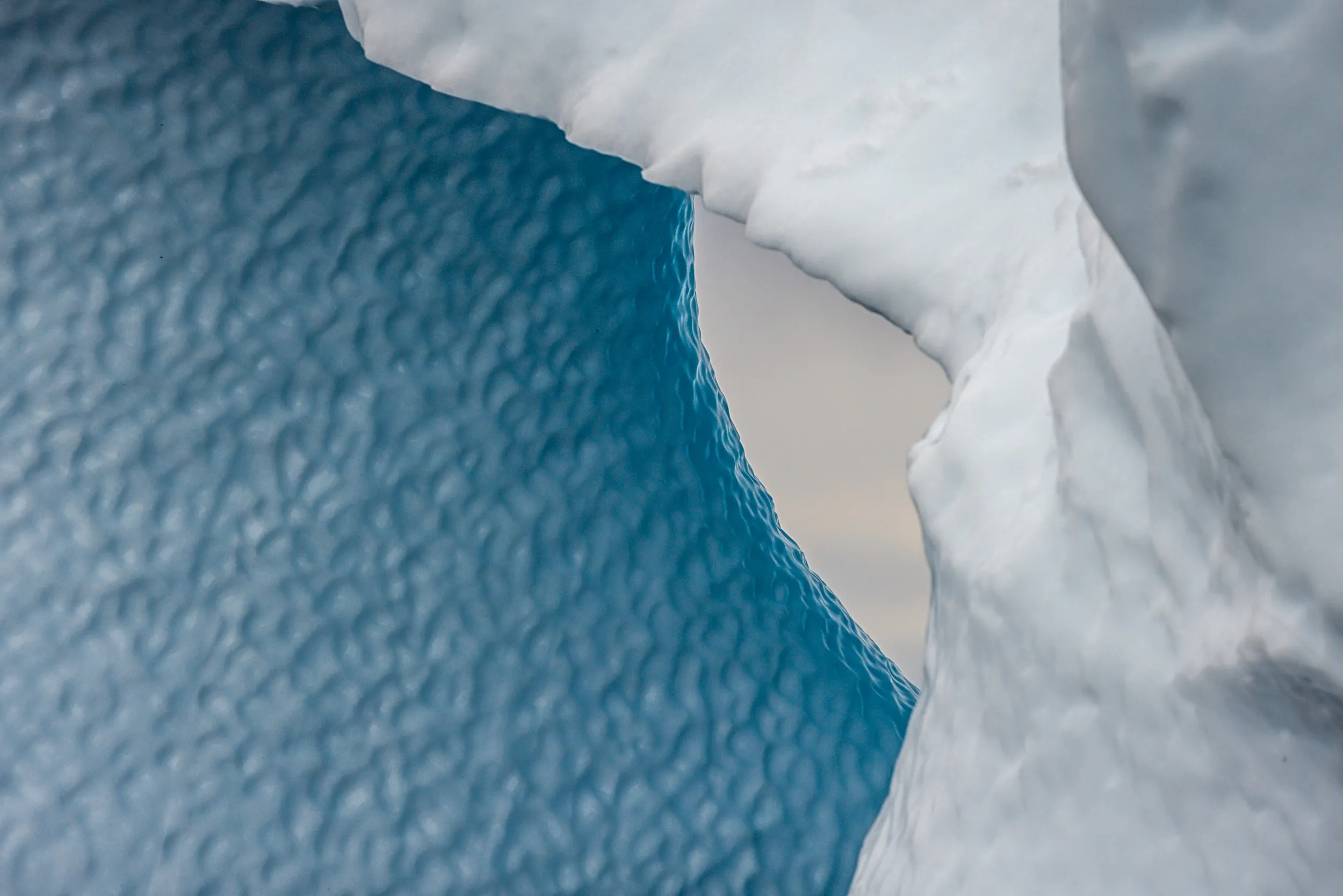 Breath Between Two Giants · Pleneau Island, Antarctica