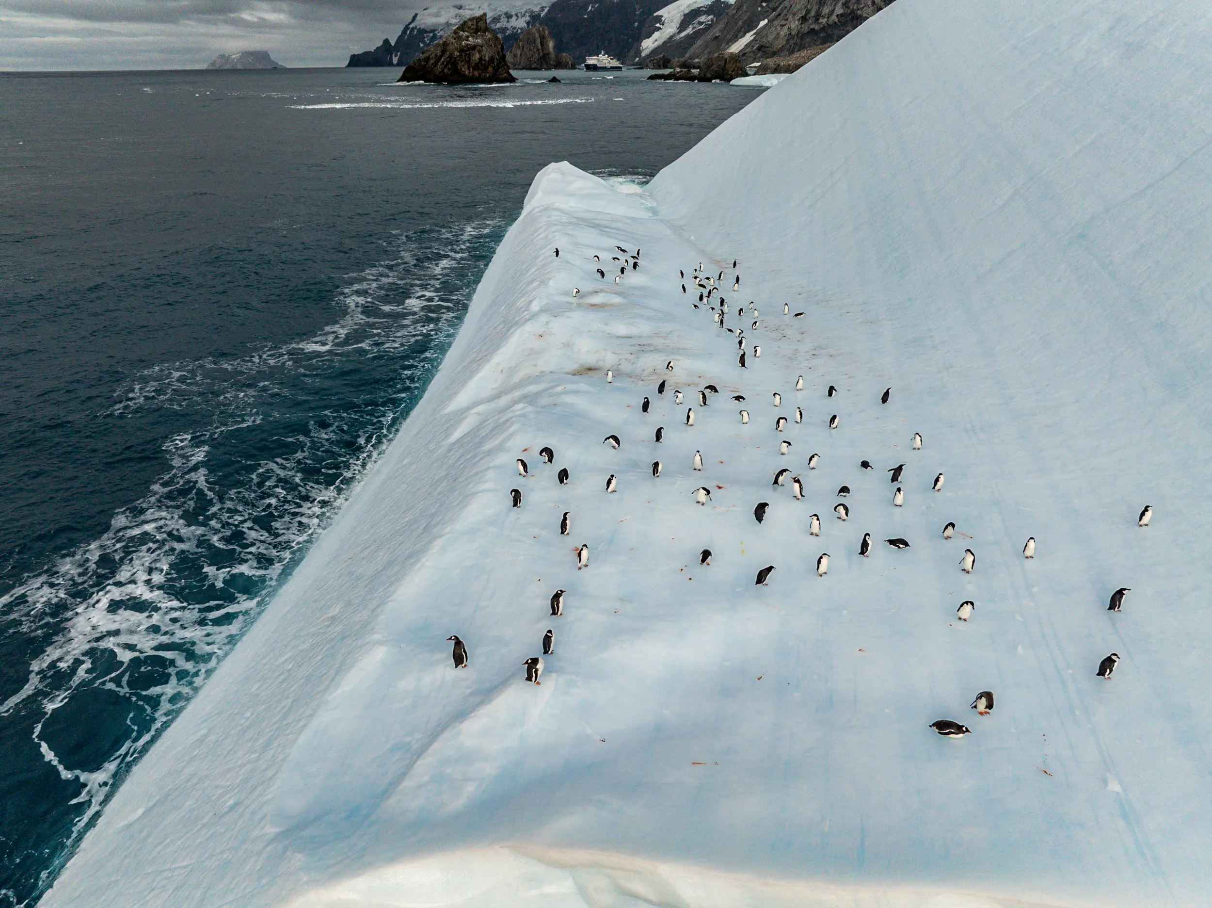 Penguin Colony, Ship Beyond · Point Wild, Antarctica