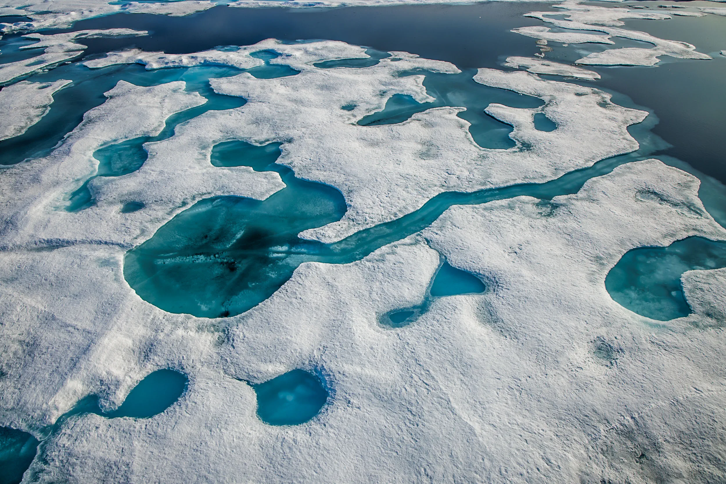 Melt Pond Mosaic
