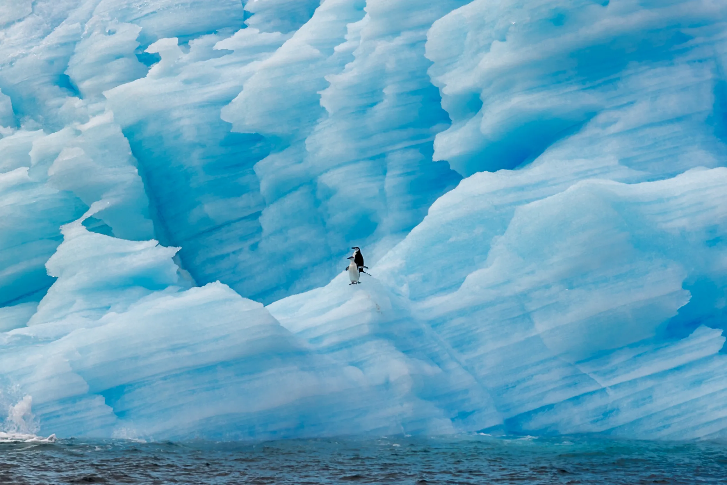 Two Penguins, Blue Iceberg · South Georgia