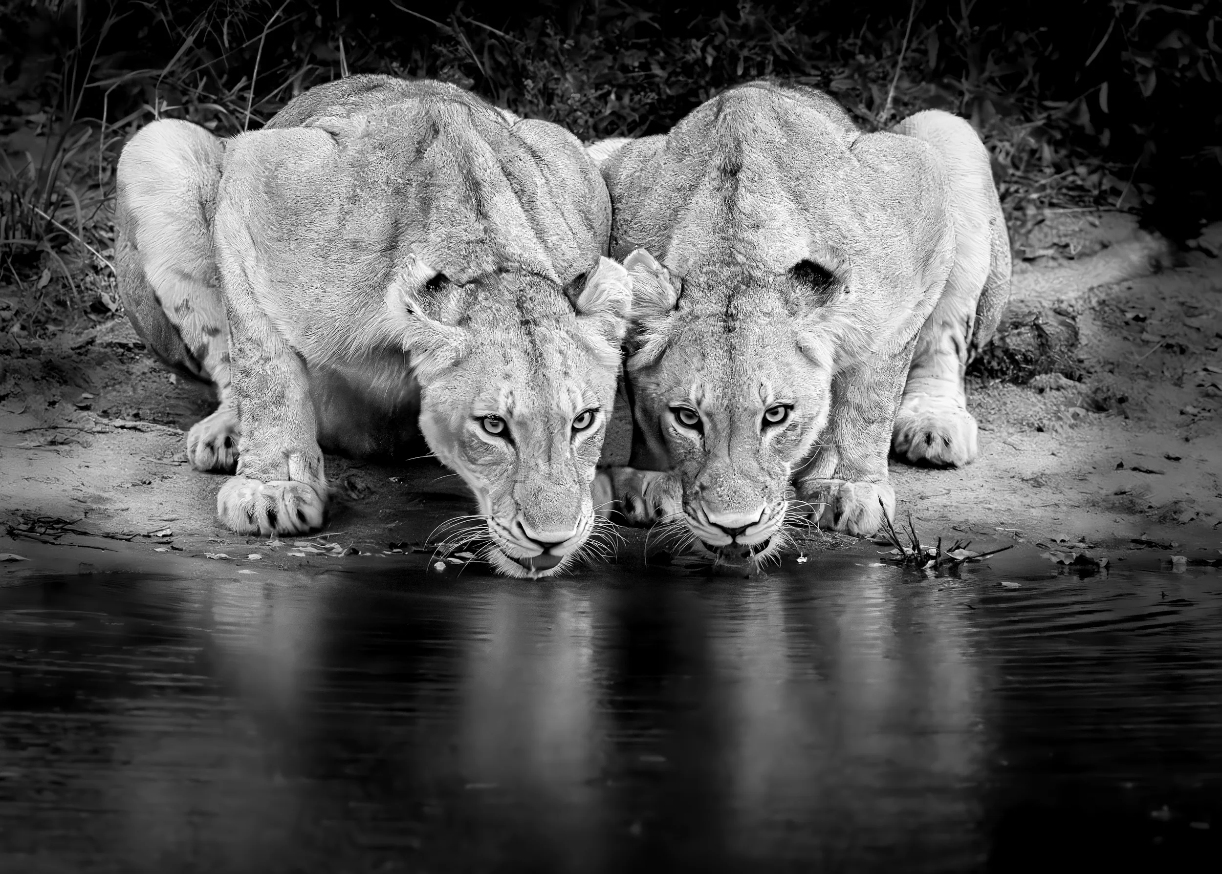 Mirrored Thirst