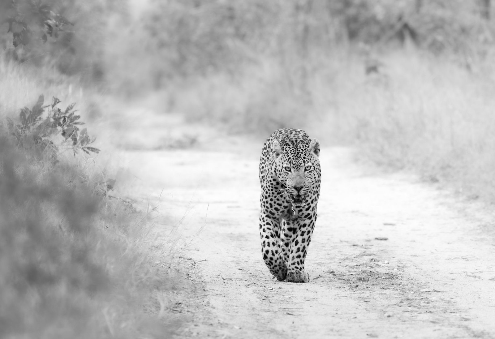 The Long Approach