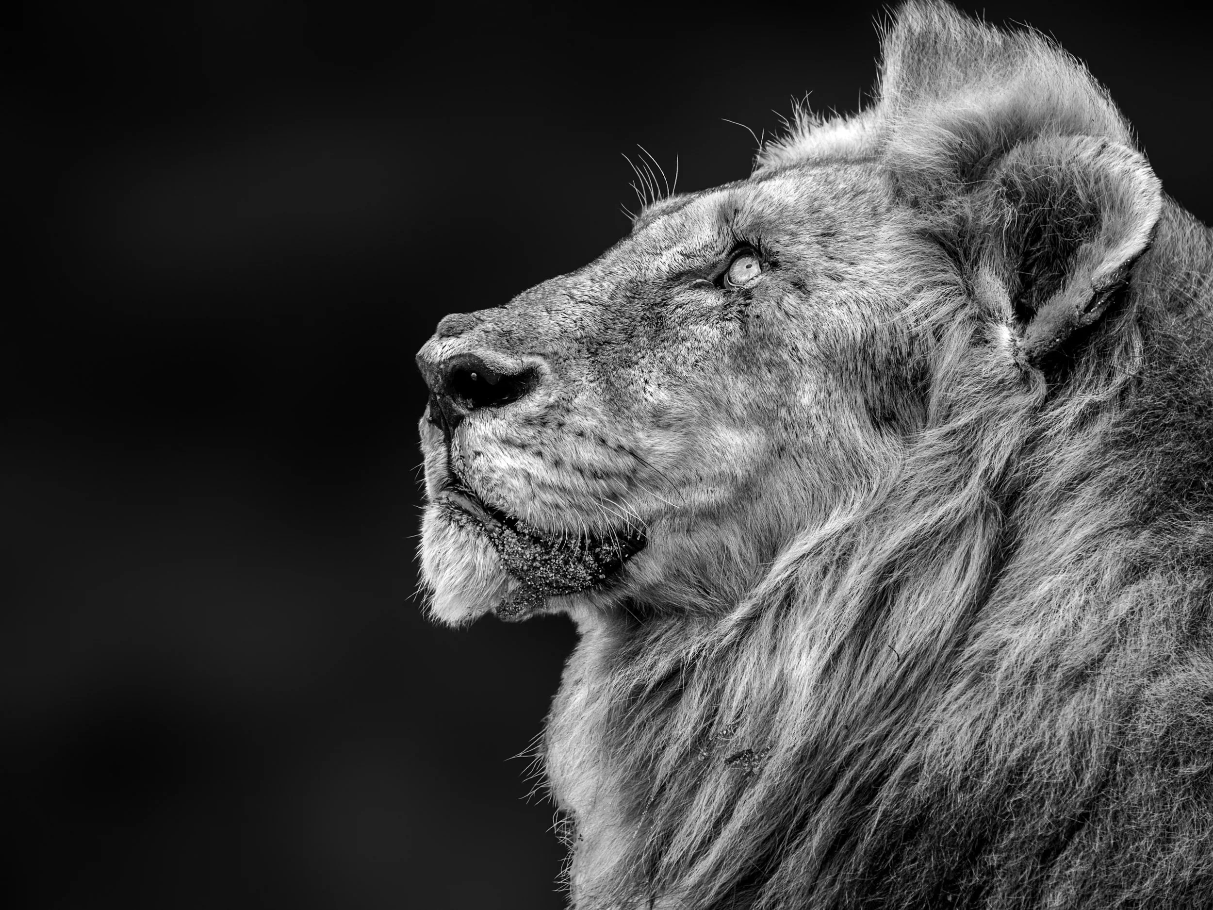 The Weight of a Crown