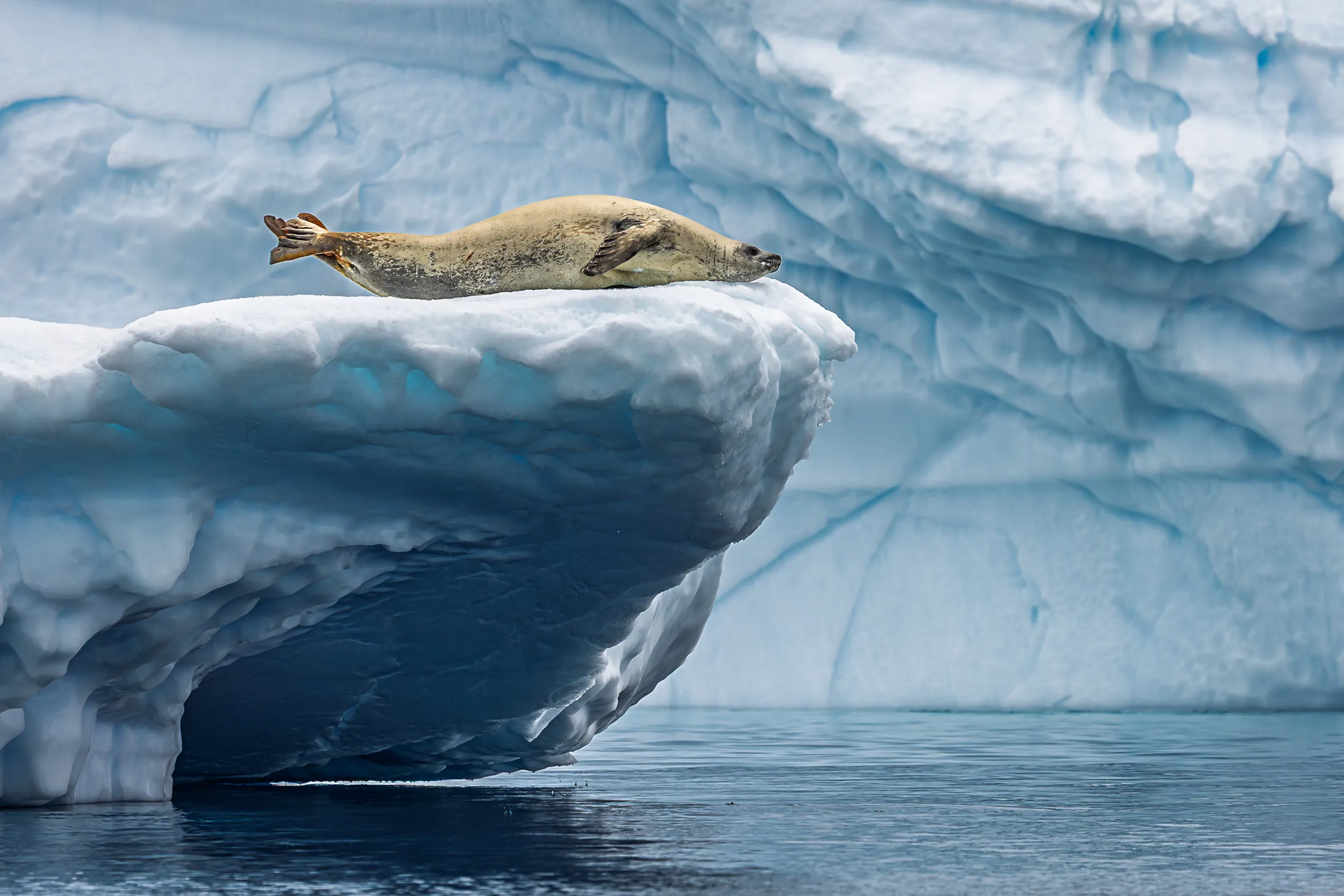 Balanced on the Blue