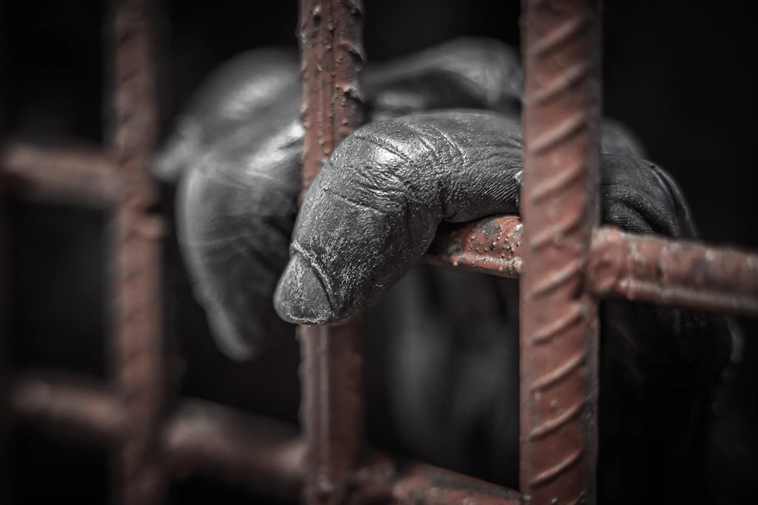 Reaching Through the Rust