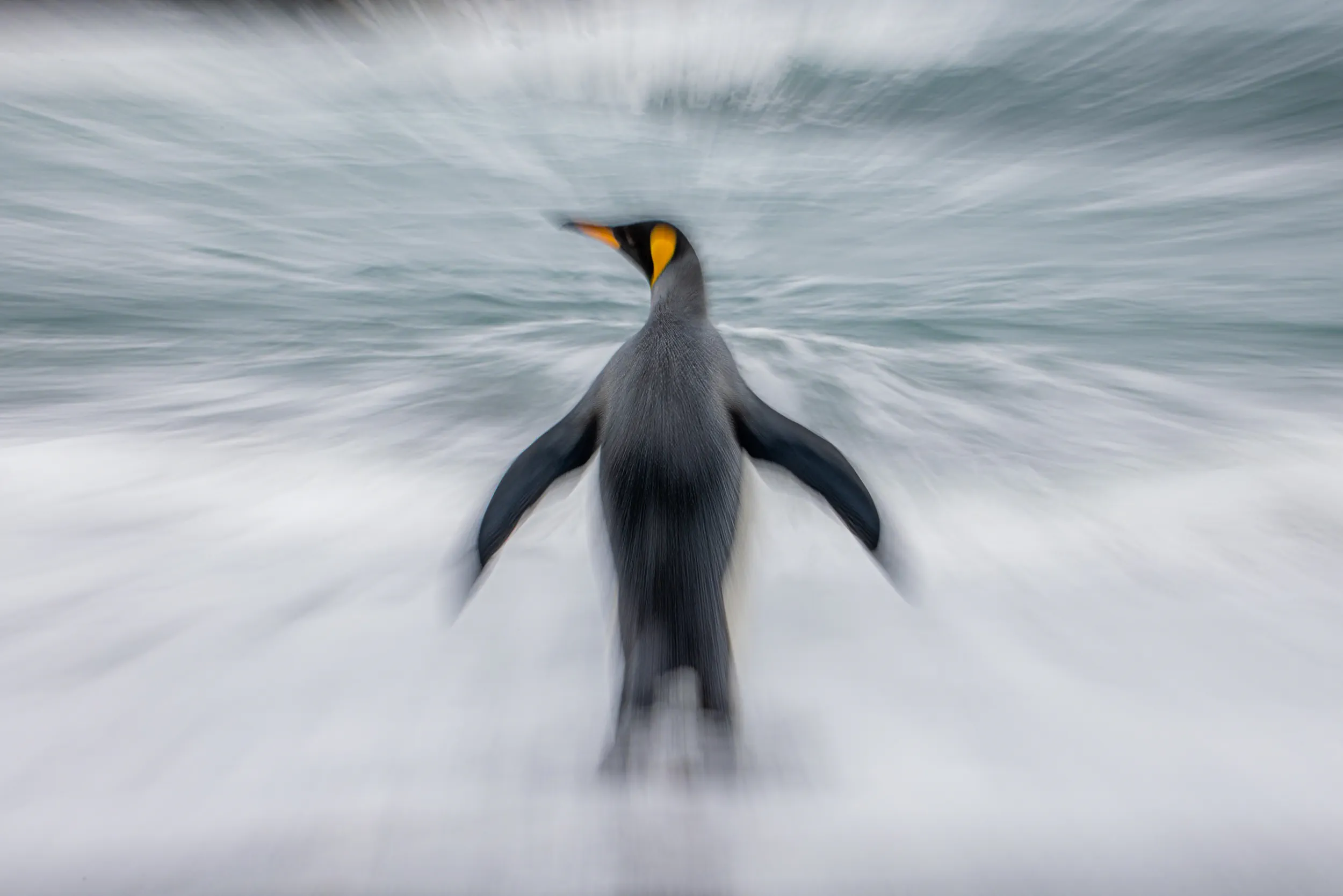 Emerging from Foam